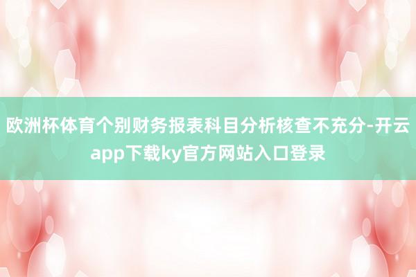 欧洲杯体育个别财务报表科目分析核查不充分-开云app下载ky官方网站入口登录