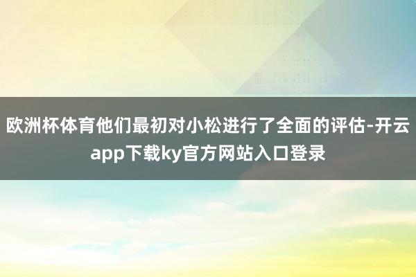 欧洲杯体育他们最初对小松进行了全面的评估-开云app下载ky官方网站入口登录