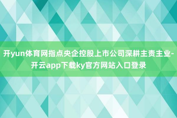 开yun体育网指点央企控股上市公司深耕主责主业-开云app下载ky官方网站入口登录