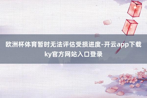 欧洲杯体育暂时无法评估受损进度-开云app下载ky官方网站入口登录