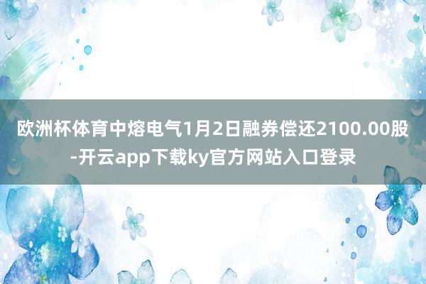 欧洲杯体育中熔电气1月2日融券偿还2100.00股-开云app下载ky官方网站入口登录