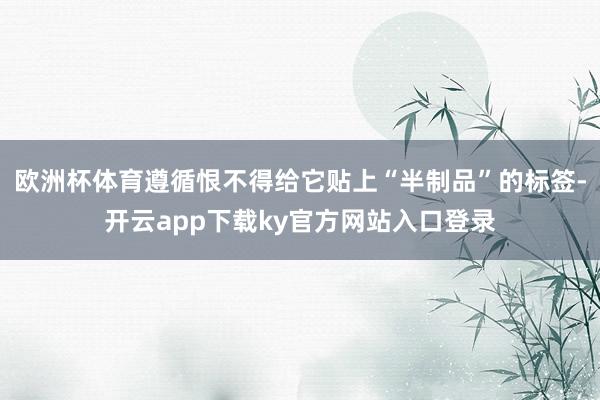 欧洲杯体育遵循恨不得给它贴上“半制品”的标签-开云app下载ky官方网站入口登录