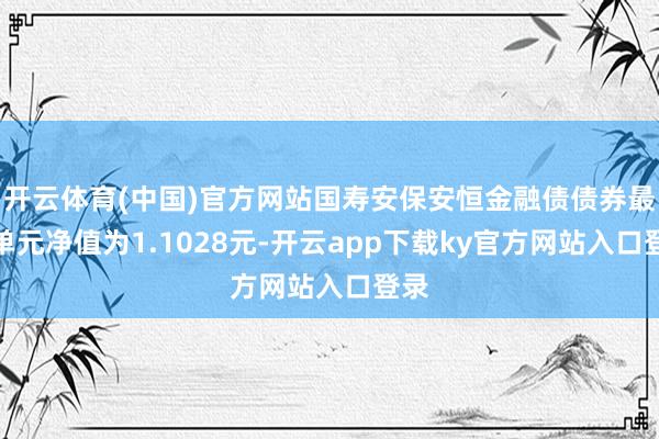 开云体育(中国)官方网站国寿安保安恒金融债债券最新单元净值为1.1028元-开云app下载ky官方网站入口登录