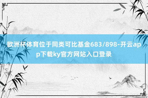 欧洲杯体育位于同类可比基金683/898-开云app下载ky官方网站入口登录