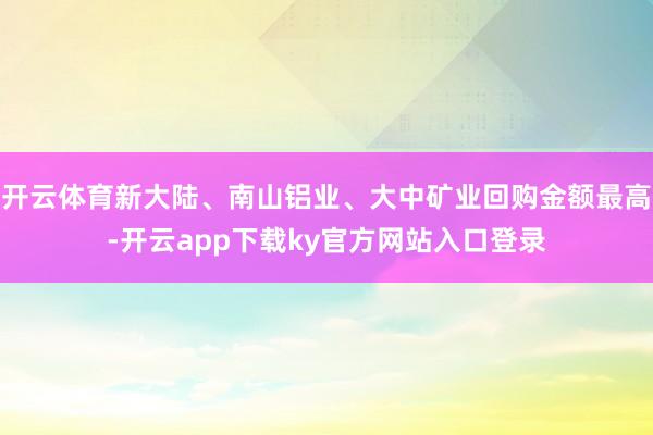 开云体育新大陆、南山铝业、大中矿业回购金额最高-开云app下载ky官方网站入口登录