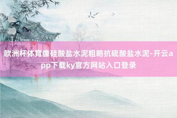 欧洲杯体育像硅酸盐水泥粗略抗硫酸盐水泥-开云app下载ky官方网站入口登录
