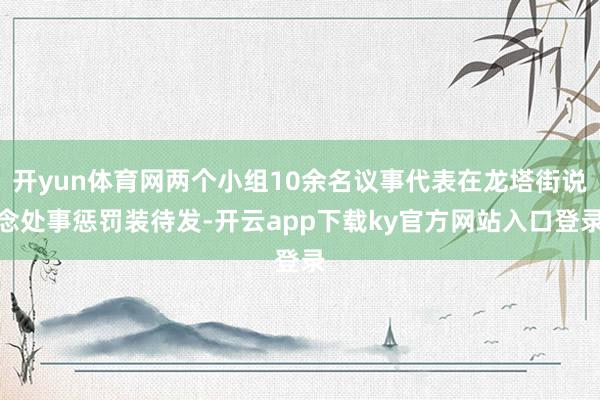 开yun体育网两个小组10余名议事代表在龙塔街说念处事惩罚装待发-开云app下载ky官方网站入口登录