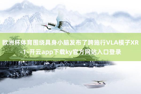 欧洲杯体育围绕具身小脑发布了跨施行VLA模子XR-1-开云app下载ky官方网站入口登录